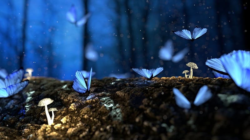 Enchanted Forest Garden