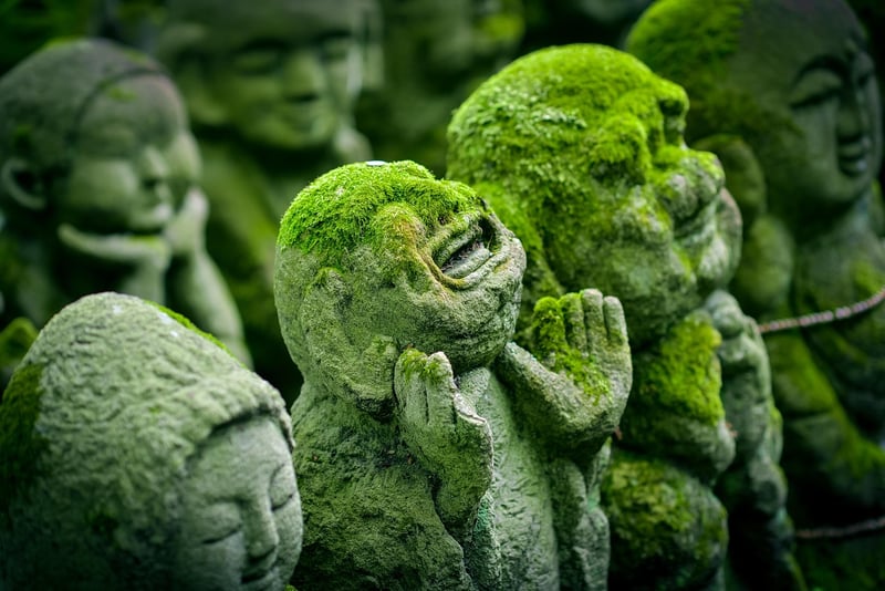 Zen Garden of Tranquility
